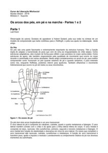 LMF 2 Os arcos dos pés Lael Keen pdf