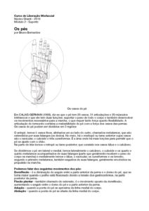 LMF2 Os pés pdf
