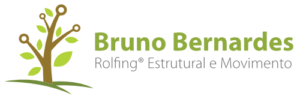 cropped logo bruno arvore 2